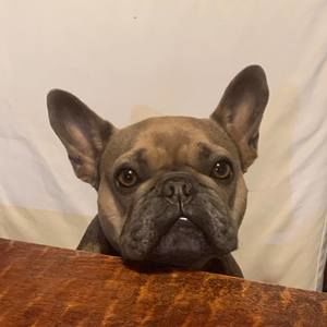 Meet your Posher, Kaya